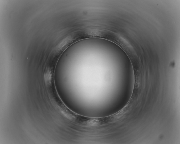 X0000090610124200707241115