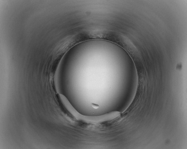 X0000090610125200707241115