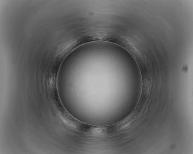 X0000090610126200707241115