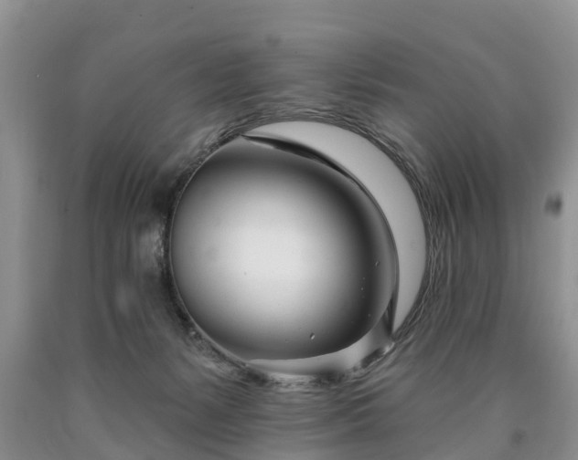 X0000090610127200707241115