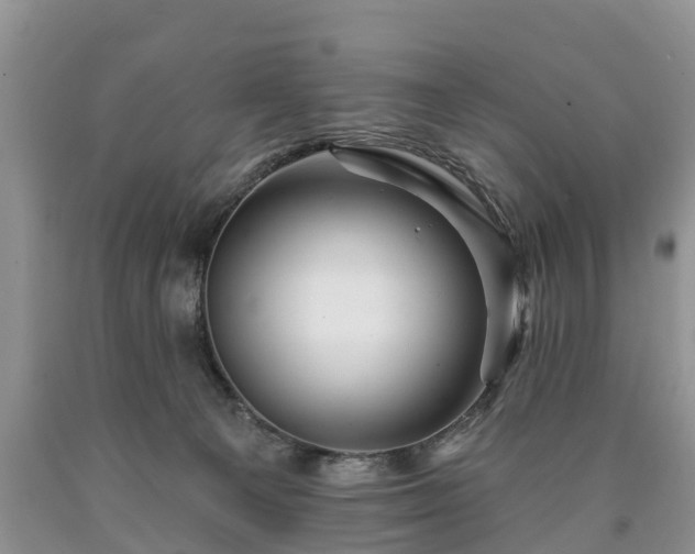 X0000090610129200707241115