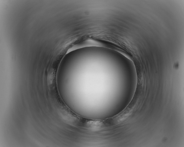 X0000090610133200707241115