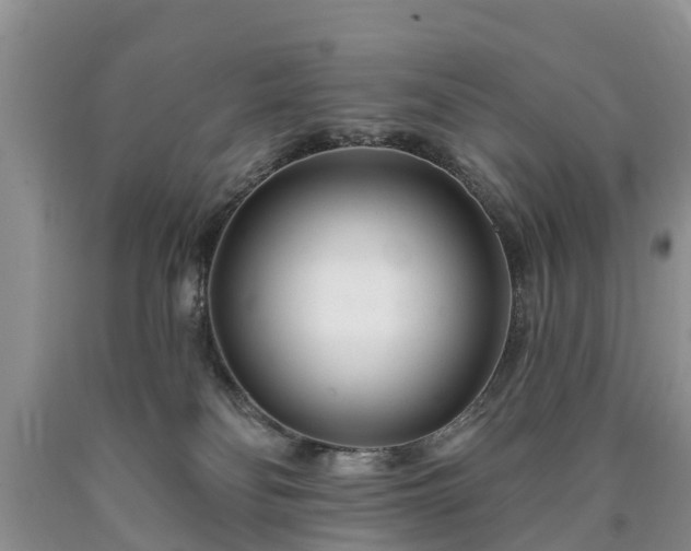 X0000090610134200707241115