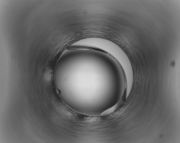 X0000090610135200707241115