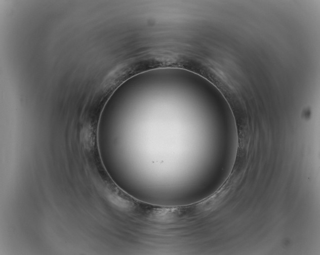 X0000090610136200707241115