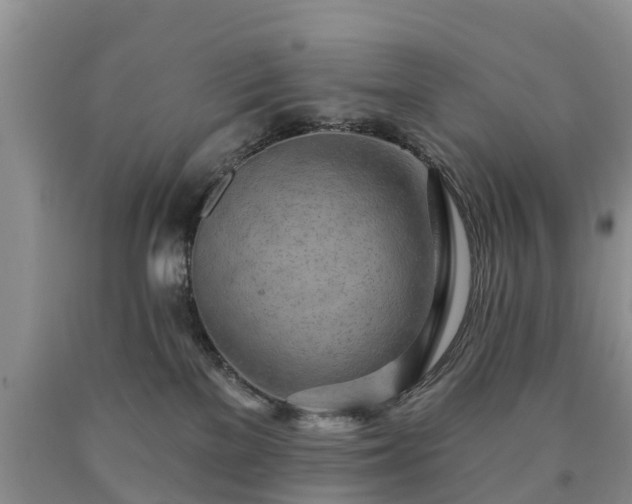 X0000090610137200707241115