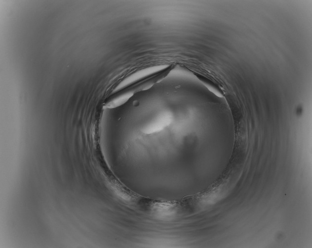 X0000090610139200707241115