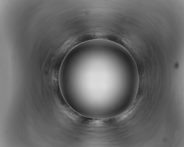 X0000090610140200707241114