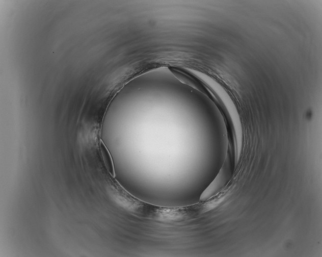 X0000090610141200707241114