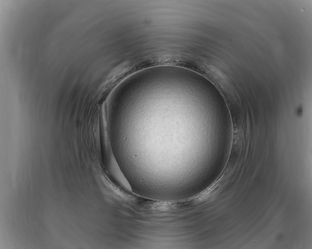 X0000090610142200707241114