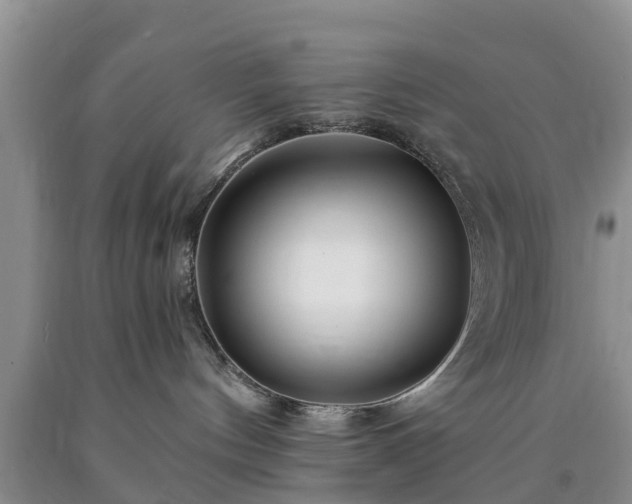 X0000090610144200707241114