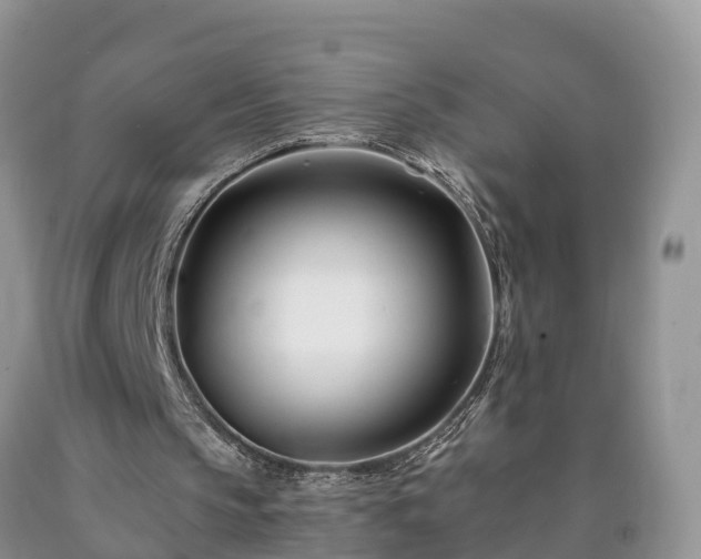 X0000090610145200707241114