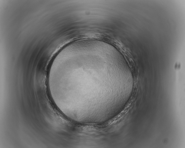 X0000090610146200707241114