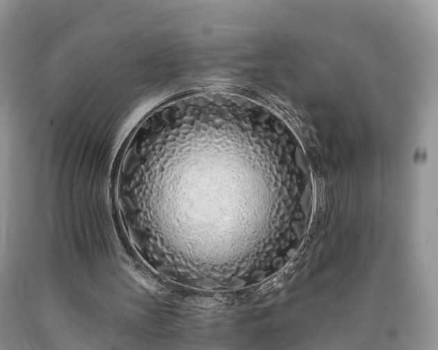 X0000090610147200707241114