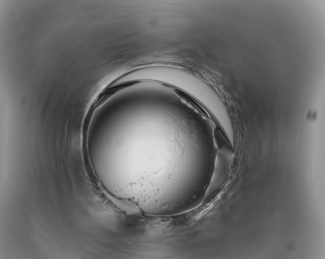 X0000090610148200707241114