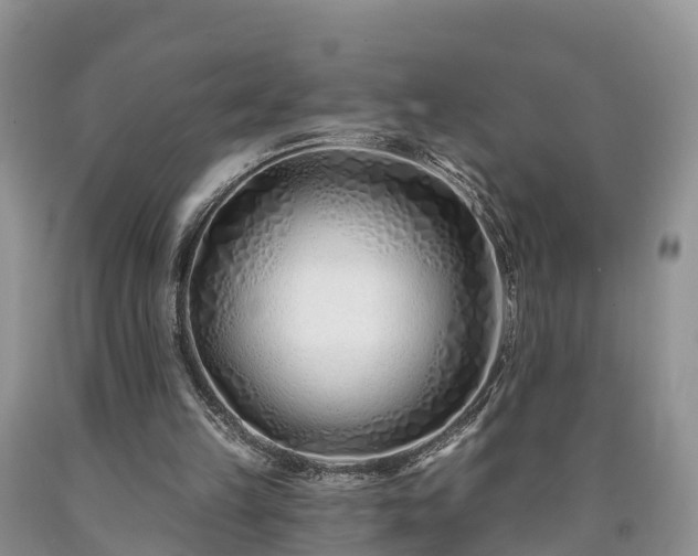 X0000090610149200707241114