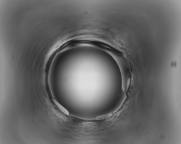 X0000090610150200707241114