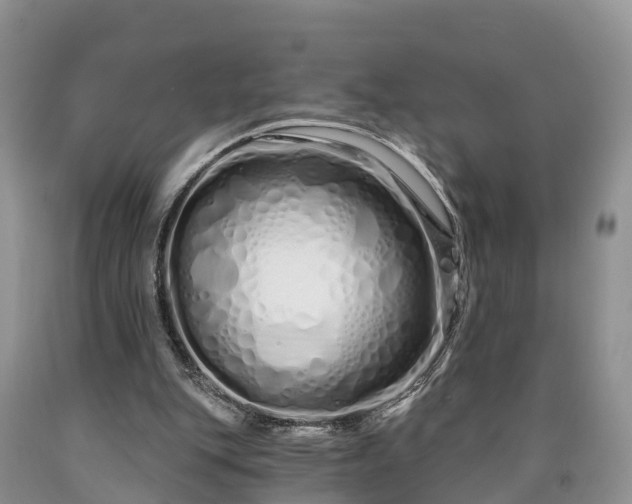 X0000090610151200707241114