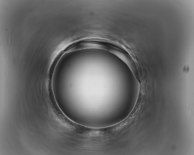 X0000090610152200707241114