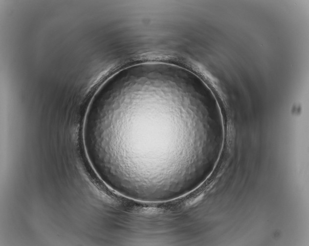 X0000090610153200707241114