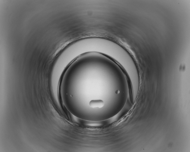 X0000090610154200707241114