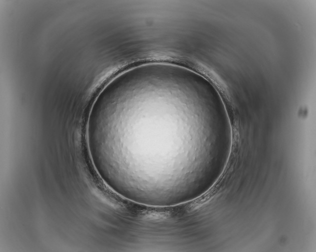 X0000090610155200707241114