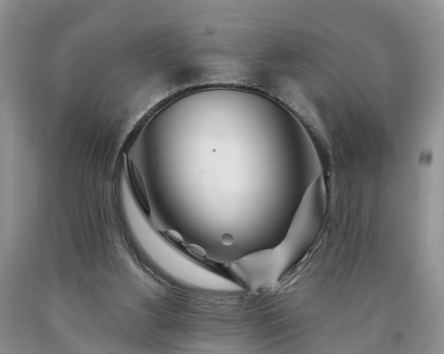 X0000090610156200707241114