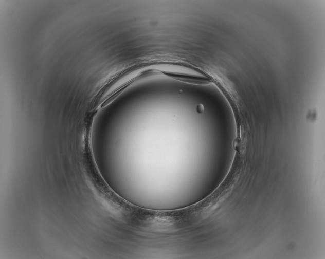 X0000090610157200707241114