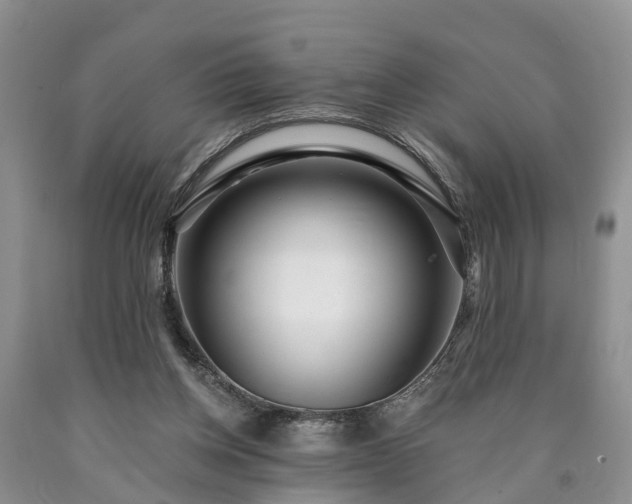 X0000090610158200707241114