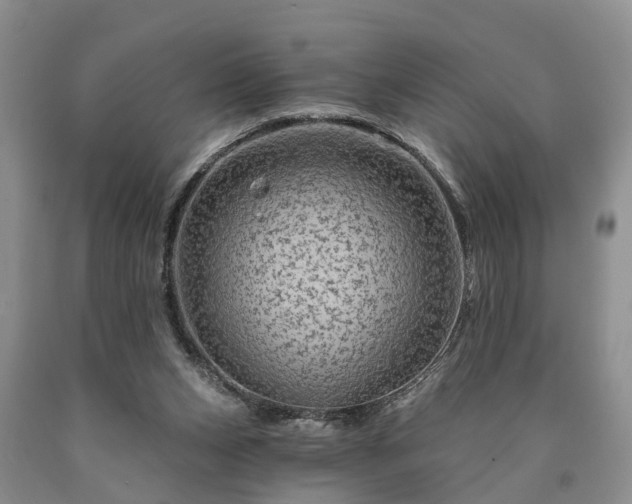 X0000090610159200707241114