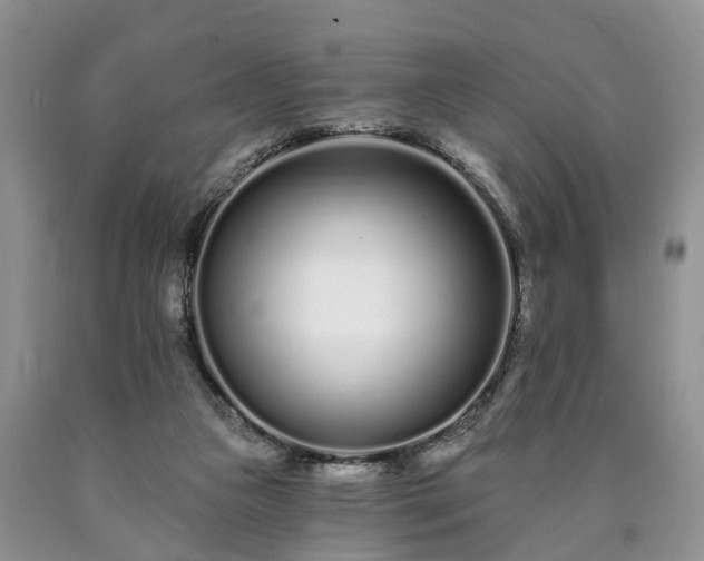 X0000090610161200707241114