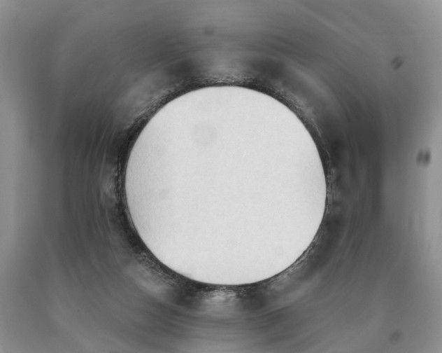 X0000090610162200707241114