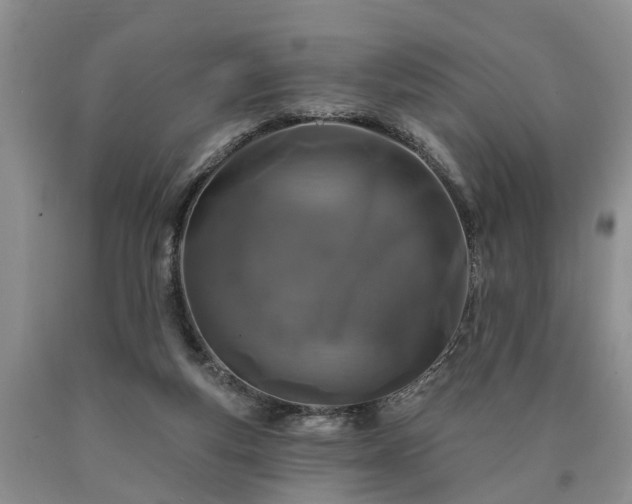 X0000090610163200707241114