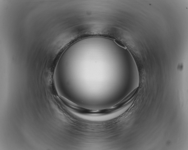 X0000090610164200707241114