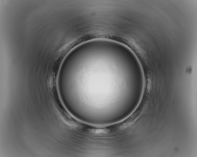 X0000090610165200707241114