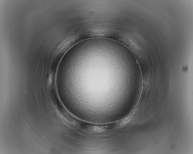 X0000090610166200707241114