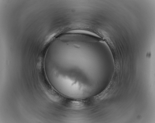 X0000090610167200707241114