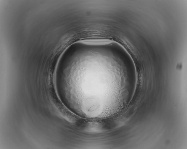 X0000090610169200707241114