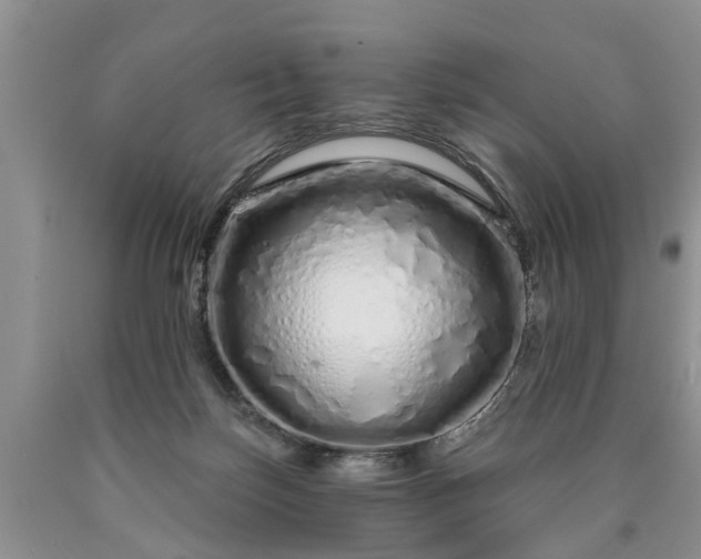 X0000090610171200707241114