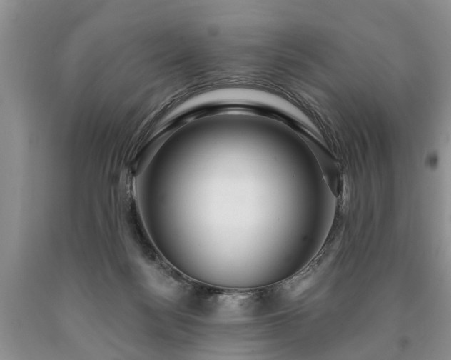 X0000090610172200707241114