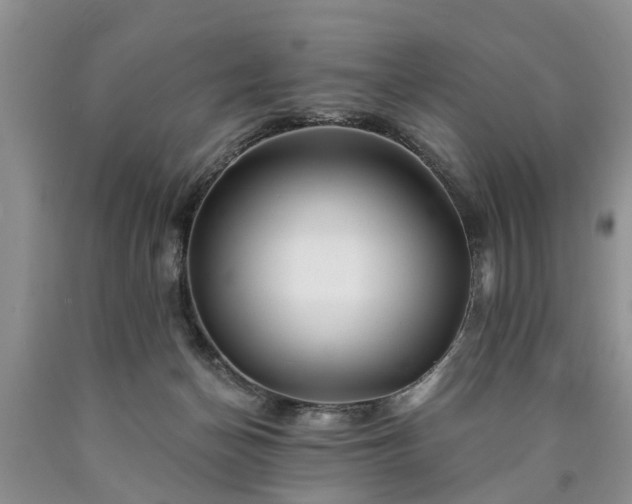 X0000090610174200707241114