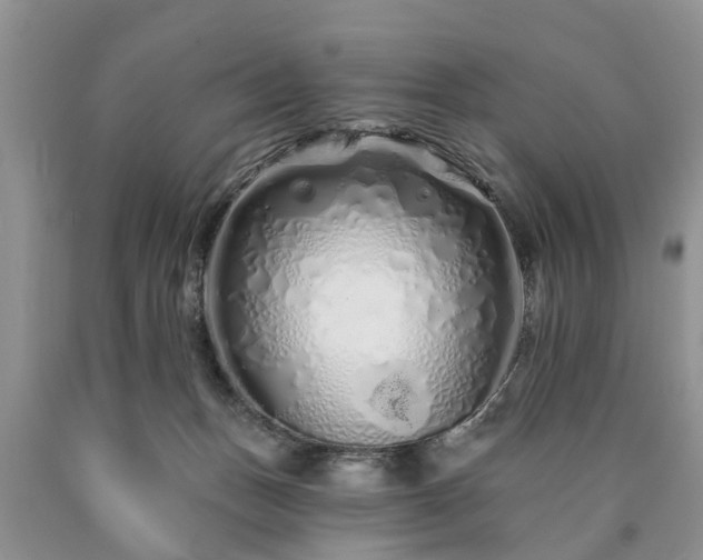 X0000090610175200707241114