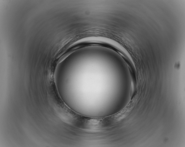 X0000090610176200707241114