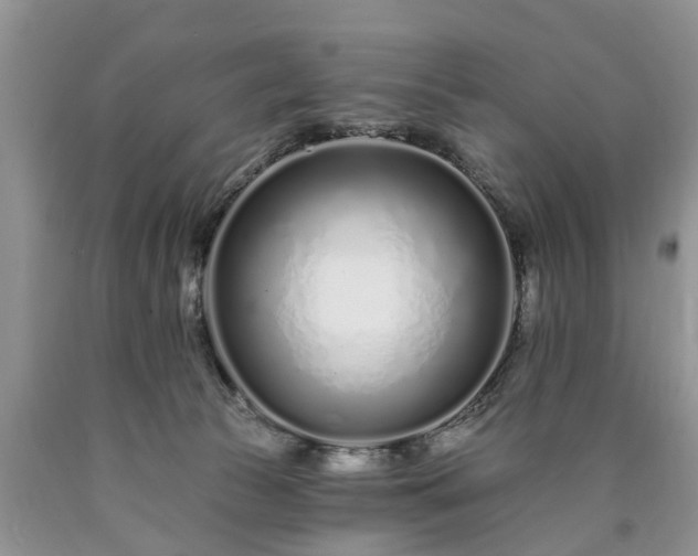 X0000090610177200707241114