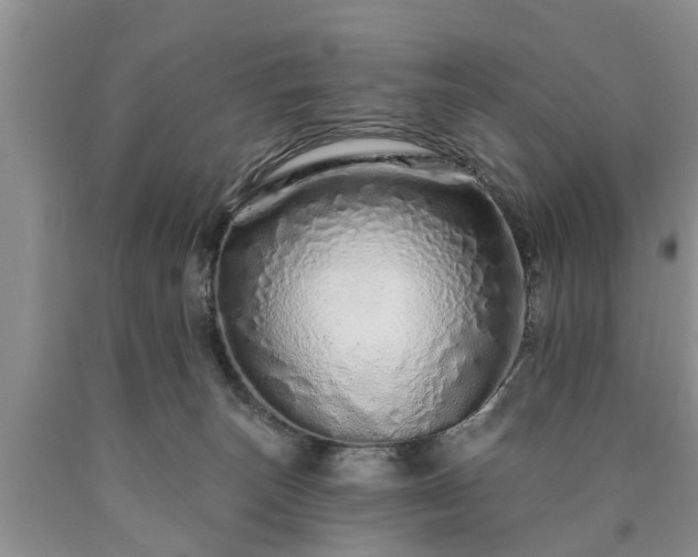 X0000090610179200707241114