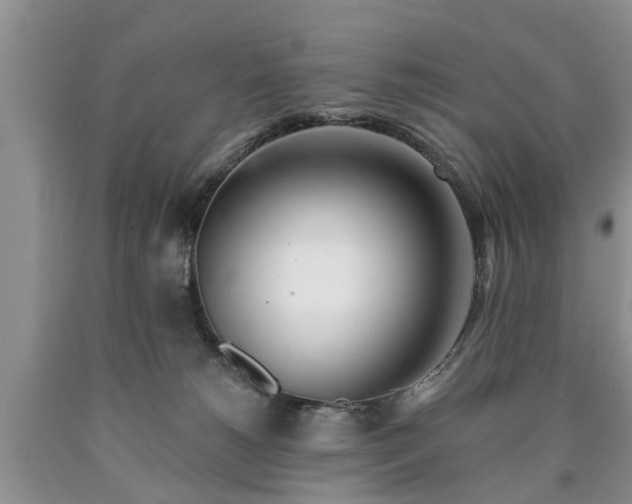 X0000090610180200707241114