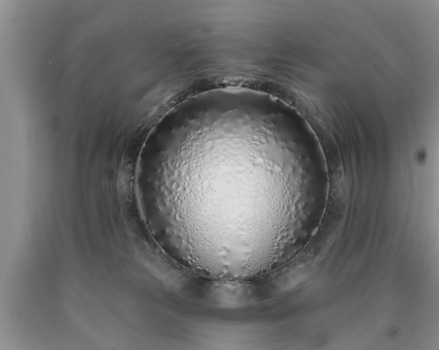 X0000090610181200707241114