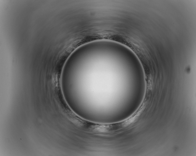 X0000090610182200707241114