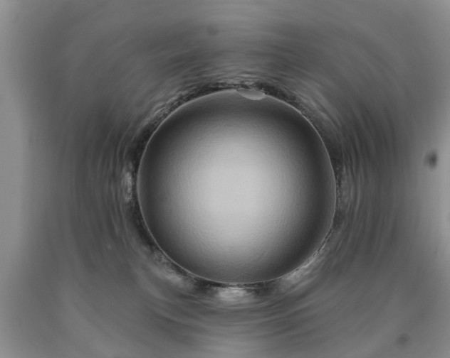 X0000090610183200707241114