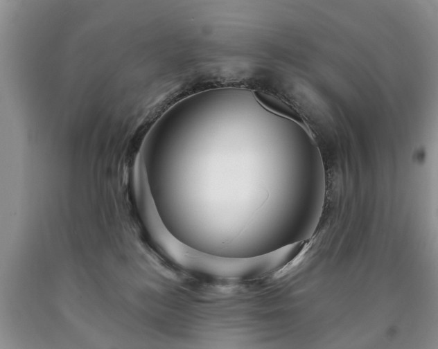 X0000090610184200707241114